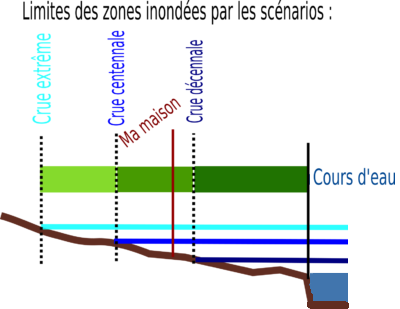 Vue en coupe crue centennale