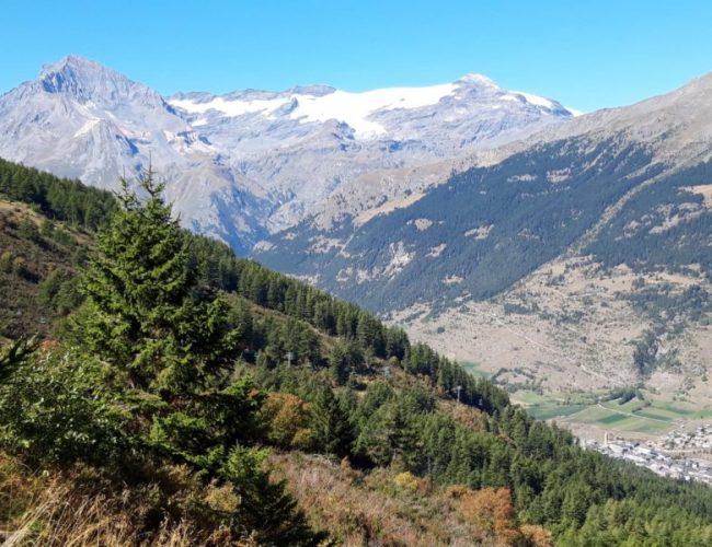 Les glaciers de la Vanoise, premiers qu'on puisse voir de près