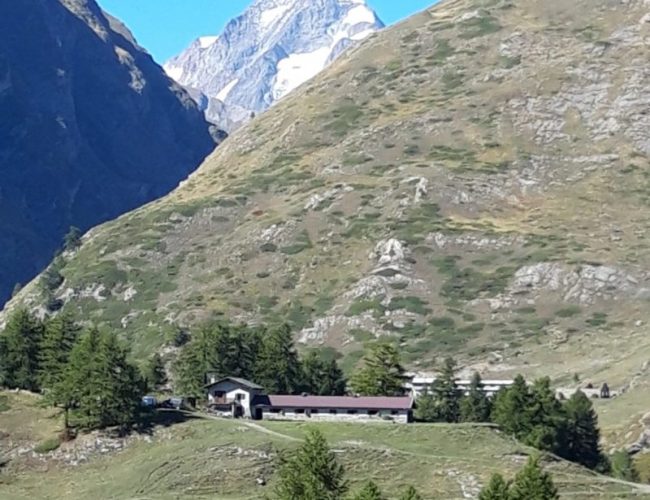 Un alpage sous les délicieuses aiguilles de Gré la Tête.